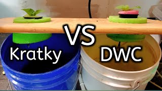 Kratky Vs DWC Hydroponics Competition Which One Is Better [upl. by Pfeffer306]