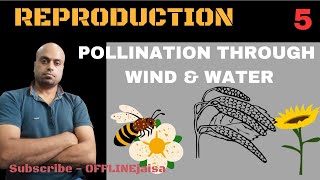 POLLINATION THROUGH ABIOTIC AGENTS [upl. by Welles518]