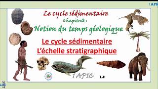 lécchelle stratigraphique  le cycle sédimentaire 1ère année APIC [upl. by Clarisa172]