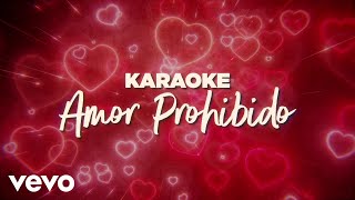 Grupo Bryndis  Amor Prohibido Karaoke [upl. by Imled]