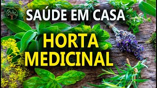 Horta em Casa Importância da Cobertura Morta [upl. by Lellih]