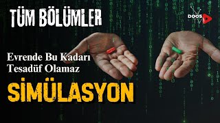 Simülasyon Evren Gerçek Olabilir Bilgisayar Oyununun İçinde Yaşıyoruz  Tüm Bölümler  Doos TV [upl. by Schrick]