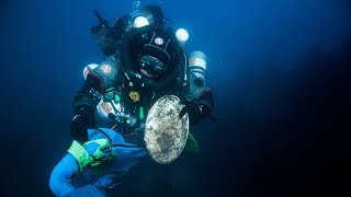 Discovery of the wreck Palestro and Re dItalia memorial dive [upl. by Gerianna377]