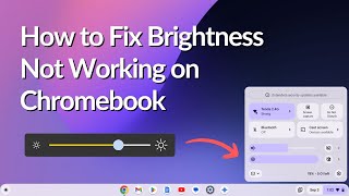 How to Fix Brightness Not Working on Chromebook [upl. by Levinson]