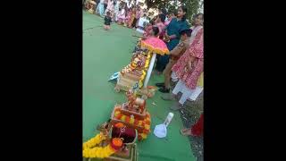 Nandi sajawat nandi bail sajawat bailpola special [upl. by Adlez]