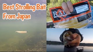 Is this Bait Better than the Deps Sakamata Shad Raid Japan Super Fish Roller 5” [upl. by Caton208]