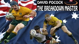 DAVID POCOCK  quotBreakdown masterquot  RWC2015 Highlights [upl. by Stanfield]