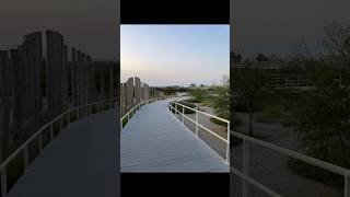 Khor kalba mangrove Centre part1 youtubeshorts [upl. by Maitilde]