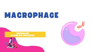 Macrophage [upl. by Witcher]