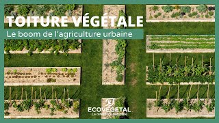 Le boom de lagriculture urbaine [upl. by Shandeigh]