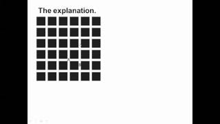 Processing Visual Stimuli Hermann Grid Contra lateral processing IB Biology [upl. by Dinah]