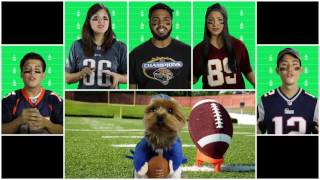 NFL On Fox Theme  Cover A Cappella  Backtrack  SideTrack 1 [upl. by Hawkie]