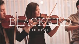 BLACKBIRD  The Beatles  Cattus Quartet string quartet cover [upl. by Beatrix815]