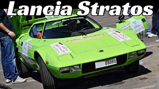 Lancia Stratos HF Stradale  V6 Ferrari Dino Engine StartUp amp Sound  70s Rally Masterpiece [upl. by Sawyer599]