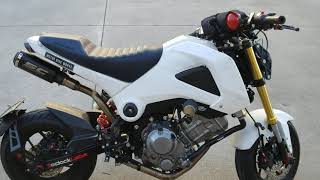 First Startup in 2020 Honda Grom 300 [upl. by Eneroc410]