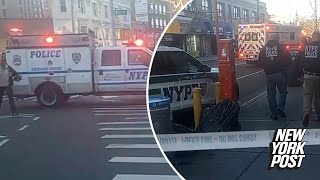 Police investigating after officer shot during traffic stop in Queens [upl. by Merola]