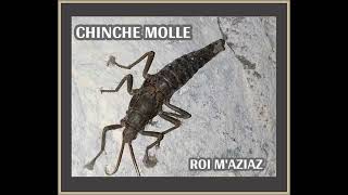 CHINCHE MOLLE  ROI MAZIAZ 2009 full album [upl. by Odrarej]