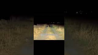 Avoid Abandoned Roads In Nights😱 ghost leftysays paranormal haunted [upl. by Nisior]