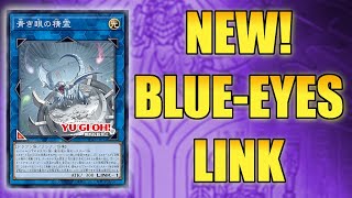 NEW LINK NEW BLUEEYES SUPPORT  YuGiOh [upl. by Chev]