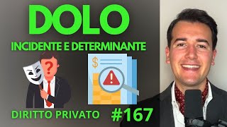 DOLO Incidente e Determinante Diritto Privato in 3 minuti [upl. by Iggy]