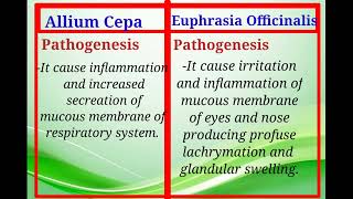 Allium Cepa and Euphrasia  respiratory system difference between [upl. by Alikat]