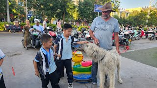 Mit Hund über die Grenze nach China [upl. by Lapides803]