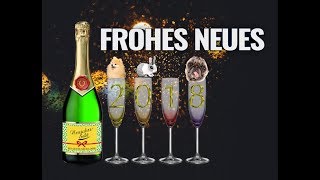 FROHES NEUES JAHR 🍸 Lustiger Silvestergruß ✨ Happy New Year ✨ WhatsApp Video kostenlos 2018 [upl. by Enidlarej378]