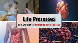 Life Processes Class 10 Science Biology  One Shot Full Chapter in Animation  With PDF Notes [upl. by Ehtyaf]