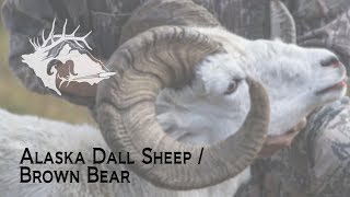 S10 E21  Alaska Dall SheepBrown Bear [upl. by Uwkuhceki]