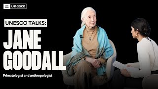 UNESCO Talks interview with Dr Jane Goodall [upl. by Cinimmod246]