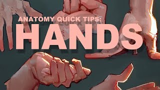 Anatomy Quick Tips Hands [upl. by Vtarj]