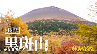 【最新】浅間山の紅葉を拝みに黒斑山へ日帰り登山！浅間ゴールドがヤバすぎた【浅間山】紅葉 登山 黒斑山 [upl. by Sinned741]