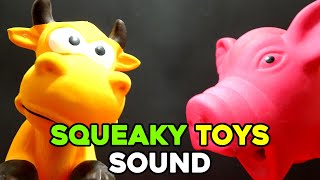 Squeaky Toy Dog Sounds PLAY to Your Dog [upl. by Ydeh976]