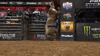 Beyond Belief WRECKs Unusual Bull Riding Handstand Elicits Universal WOWs [upl. by Dolph]