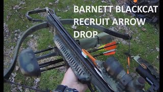 Barnett Blackcat Recruit Crossbow Arrow Drop [upl. by Roti]