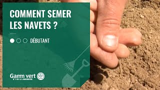 TUTO Comment semer les navets   Jardinerie Gamm vert [upl. by Elleira745]