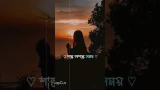 borbaad hoyechi ami songtitle banglasong shorts short [upl. by Ahseiym]