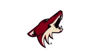 Coyotes NHL Gila River Arena [upl. by Reynold]