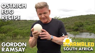 Gordon Ramsay Makes OSTRICH Scrambled Eggs In South Africa  Scrambled [upl. by Bodkin]