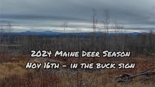 2024 Maine Deer Season  November 16th  In the Buck sign [upl. by Arnold]