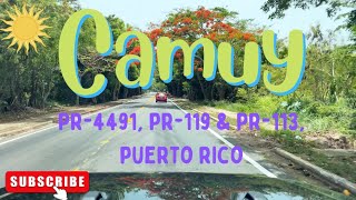 Camuy PUERTO RICO in 4K 2022 Roads PR4491 amp PR119 amp PR113 [upl. by Yanaton]