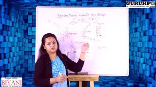 Agrobacterium Mediated Gene TransferBSc Biotech [upl. by Banerjee901]