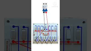 6 Socket 1 Fuse 6 Switch Wiring shortsshortsfeedwiringtecnicelectricalinstallationelectrician [upl. by Gabbert]