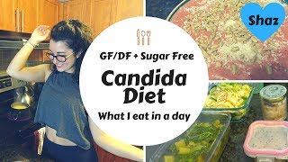 What I Eat in a Day  Non Vegan Candida Diet [upl. by Forras]