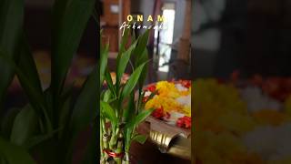 HAPPY ONAM🌼🪷🌸 onam malayalam shorts short youtube subscribe garden [upl. by Atiras]