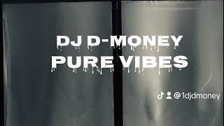 Pure Vibes Episode 3 Best DJ Mix 2024RapRampBHipHopNonStop VibesDJ DMoneyViralHTX [upl. by Garap]