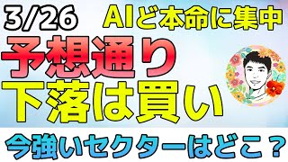 上昇継続する半導体３兄弟！これからもAIど本命！【326 米国株ニュース】 [upl. by Assirrak]