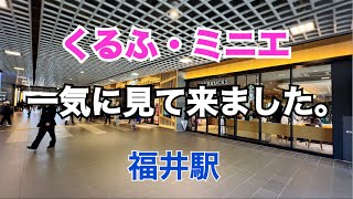 【超感激☆】大化けした福井の駅ナカ・駅前をサクッと徘徊｜くるふ福井駅｜フクマチブロック｜北陸新幹線開業後約2週間、こんなことになってました。｜アフレコあり [upl. by Atiuqnahs]