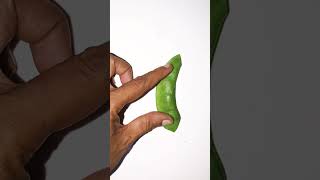 Amazing satisfying fruit cutting shorts [upl. by Holli]