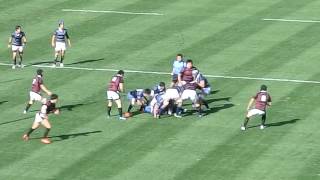 2016ラグビー大学選手権 同志社 vs 早稲田 石田・同大先制Ｔ [upl. by Amando]